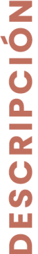 descripcion